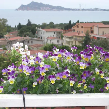 Vista Golfo
